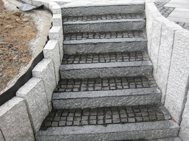 IMG_2027 (Large)
